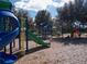 Outdoor playground offering a safe and enjoyable play space to climb, slide, and swing at 19116 Nature Palm Ln, Tampa, FL 33647