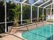 Idyllic screened pool with landscape planters adding greenary, offering a serene and private outdoor experience at 19116 Nature Palm Ln, Tampa, FL 33647