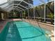 Inviting screened-in pool surrounded by lush greenery, creating a private and relaxing outdoor living space at 19116 Nature Palm Ln, Tampa, FL 33647