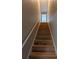 Carpeted stairway leading upstairs with wood flooring at 19116 Nature Palm Ln, Tampa, FL 33647