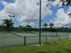 Outdoor tennis court is a great spot for friendly matches, skill building, and active recreation in a lush green common area at 19116 Nature Palm Ln, Tampa, FL 33647