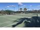 Tennis court provides a pristine playing surface for friendly matches and skill development in a lush green common area at 19116 Nature Palm Ln, Tampa, FL 33647