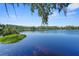 Serene lake view featuring clear water and lush greenery along the shoreline at 19254 Blount Rd, Lutz, FL 33558