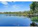 Beautiful lake showcasing lily pads and docks for easy access for all your water activities at 19254 Blount Rd, Lutz, FL 33558