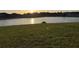 A lush backyard with green grass leading to a serene lake at sunset at 19514 Sea Myrtle Way, Tampa, FL 33647