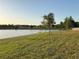 Lush backyard with a serene pond view, perfect for relaxation and outdoor enjoyment at 19514 Sea Myrtle Way, Tampa, FL 33647