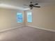 Bright bedroom featuring carpet flooring, ceiling fan, and natural light from the windows at 19514 Sea Myrtle Way, Tampa, FL 33647