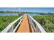Dock stretching out over calm water with mangroves on both sides at 19925 Gulf Blvd # 503, Indian Shores, FL 33785