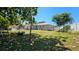 Backyard featuring a spacious lawn, patio area with outdoor seating, and mature trees providing shade at 2505 Minnehaha, Tampa, FL 33614