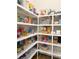 Walk-in pantry features white shelving and provides ample storage space for food and kitchen essentials at 28857 Picana Ln, Wesley Chapel, FL 33543