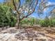 Wooden deck overlooks a private backyard with mature trees and lush greenery at 2947 Cedar Trce, Tarpon Springs, FL 34688