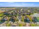 Panoramic aerial shot of a vibrant community showcasing lush landscapes and picturesque neighborhood layouts at 33228 Kateland Dr, Wesley Chapel, FL 33545