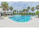 Gorgeous community pool surrounded by lush landscaping and swaying palm trees at 33228 Kateland Dr, Wesley Chapel, FL 33545