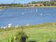 Picturesque lake view populated by beautiful white pelicans, surrounded by lush green grass and shoreline at 5728 Sunset Falls Dr, Apollo Beach, FL 33572