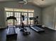 Community gym offering cardio equipment and natural lighting at 9481 Highland Oak Dr Dr # 508, Tampa, FL 33647