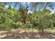 Secluded backyard with wrought iron fencing and mature landscaping at 10509 Deepbrook Dr, Riverview, FL 33569