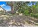 Spacious backyard featuring mature trees, fencing and lush landscaping at 10509 Deepbrook Dr, Riverview, FL 33569
