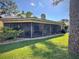Spacious backyard featuring a screened lanai and lush lawn at 14678 Village Glen Cir, Tampa, FL 33618