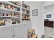 Organized pantry with stocked shelves and gray cabinetry, offering ample storage with a step stool for convenience at 18714 Chemille Dr, Lutz, FL 33558