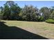 Expansive backyard featuring lush green grass and mature trees, offering a serene and private outdoor space at 200 N Betty Ln # 5F, Clearwater, FL 33755