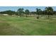 Scenic golf course with well-manicured greens, towering trees, and blue golf balls, ideal for golf enthusiasts at 200 N Betty Ln # 5F, Clearwater, FL 33755