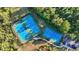 Aerial view of the tennis courts with two bright blue courts, surrounded by lush green trees and landscaping at 20203 Merry Oak Ave, Tampa, FL 33647