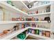 Walk-in pantry with multiple shelves, providing ample storage space at 21506 Snowy Orchid Ter, Land O Lakes, FL 34637