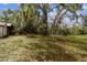 Expansive backyard featuring mature trees with Spanish moss and a shed in a serene, natural setting at 2231 Nichols Rd, Lithia, FL 33547