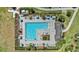 Aerial view of a large community pool featuring lounge chairs, umbrellas, and lush landscaping for relaxation and enjoyment at 23378 Papyrus Way, Lutz, FL 33549
