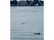 Water view featuring dolphins swimming in a serene environment at 5200 Brittany S Dr # 204, St Petersburg, FL 33715