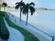 Beautiful waterfront view with a walkway, palm trees, and serene water, ideal for relaxation and enjoying the outdoors at 5200 Brittany S Dr # 204, St Petersburg, FL 33715