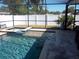 Screened-in pool with spa, and spacious patio surrounded by lush greenery at 5413 S Martin Ave, Tampa, FL 33611