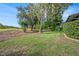 Lush backyard featuring green grass, mature trees, and meticulous landscaping at 7519 Berna Ln, Land O Lakes, FL 34637