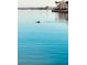 Scenic water view shows a dolphin swimming in the foreground, with shoreline and condos in the background at 7700 Sun Island S Dr # 506, South Pasadena, FL 33707