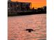 Beautiful water view at sunset with a bird swimming in the water and condo building in the background at 7700 Sun Island S Dr # 506, South Pasadena, FL 33707