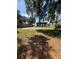 View of the backyard and exterior of the house; an expansive yard with mature trees and ample space at 816 Drane Nw St, Plant City, FL 33563