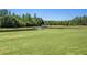 Scenic view of golf course with a pond, fountain, trees, and flag on a sunny day at 7519 Berna Ln, Land O Lakes, FL 34637