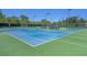 Well-maintained outdoor tennis courts with blue surfaces and green surrounding grounds and fencing at 7519 Berna Ln, Land O Lakes, FL 34637