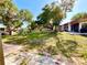 Landscaped backyard showcasing green lawns, mature trees, and comfortable outdoor seating areas at 1473 Feather Dr # 1473, Clearwater, FL 33759