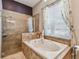 Beautiful bathroom showcasing a garden tub with tile surround and a separate glass shower enclosure at 18533 Avocet Dr, Lutz, FL 33558