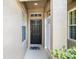Welcoming front door with sidelight and manicured landscaping, creating a warm entry to the home at 18981 Duquesne Dr, Tampa, FL 33647