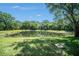 Peaceful pond with lush greenery is the backyard's focal point at 18981 Duquesne Dr, Tampa, FL 33647