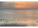 Picturesque view of birds flying over the water during sunset, creating a tranquil scene at 228 Shore Dr, Tarpon Springs, FL 34689