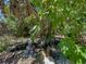 Backyard with a rock-lined pond, a statue, fountain, and tropical plant life at 3001 9Th N Ave, St Petersburg, FL 33713