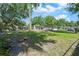 Large backyard with mature trees at 3910 W Comanche Ave, Tampa, FL 33614