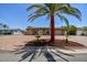 Charming single-story home with lovely palm trees, a paver driveway, and a well-manicured lawn at 4011 99Th W St, Bradenton, FL 34210