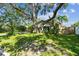 Expansive front yard with mature trees and a well-manicured lawn, offering a peaceful and private setting at 503 Tangerine Dr, Oldsmar, FL 34677