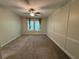 Bright bedroom featuring neutral paint, carpet, modern ceiling fan, and plenty of natural light at 6617 Citrus Creek Ln, Tampa, FL 33625
