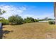 Large backyard showcasing potential for outdoor activities and gardening at 8704 Sandy Plains Dr, Riverview, FL 33578