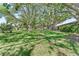 Lush green space with mature trees, offering a serene and natural setting at 11511 113Th St # 35E, Largo, FL 33778